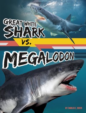 Great White Shark Vs. Megalodon