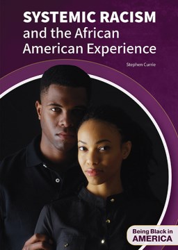 Systemic Racism and the African American Experience