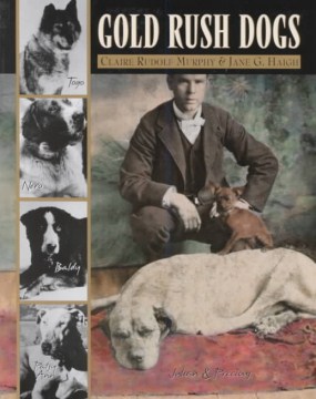 Gold rush dogs