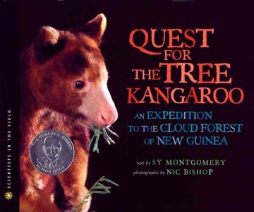 Quest for the Tree Kangaroo