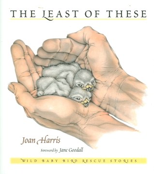 The Least of These: Wild Baby Rescue Stories