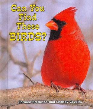Can You Find These Birds?