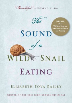 The Sound of A Wild Snail Eating