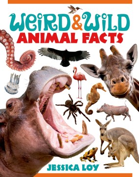 Weird &amp; Wild Animal Facts
