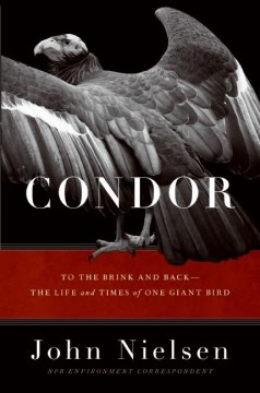 Condor: To the Brink and Back