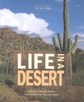 Life in A Desert