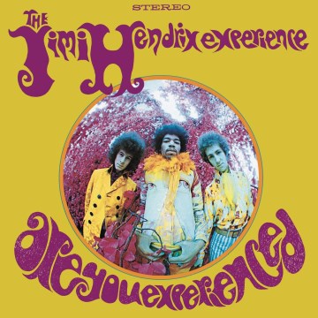 Book jacket for Are you experienced