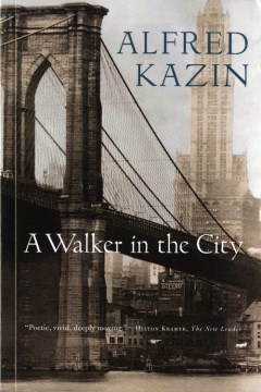 Book jacket for A walker in the city