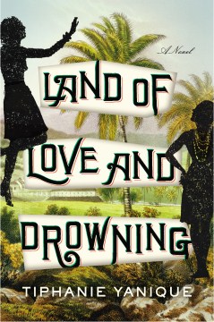 Book jacket for Land of love and drowning