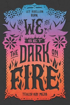 Book jacket for We set the dark on fire