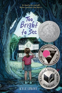 Book jacket for Too bright to see