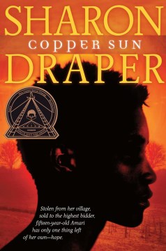 Book jacket for Copper sun