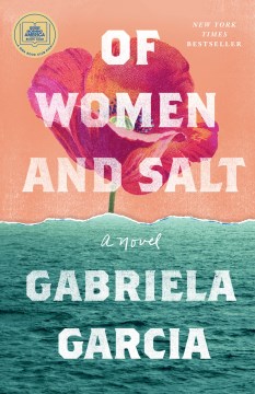 Book jacket for Of women and salt