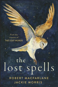 Book jacket for The lost spells