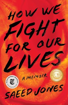 Book jacket for How we fight for our lives : a memoir