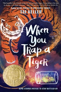 Book jacket for When you trap a tiger