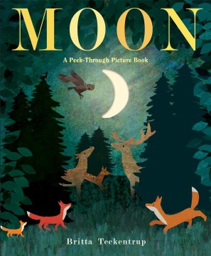 Book jacket for Moon : a peek-through picture book