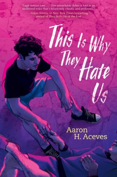 Book jacket for This is why they hate us