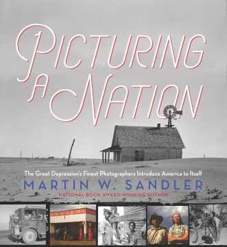 Book Cover: Picturing a Nation
