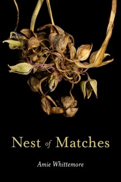 Book jacket for Nest of matches