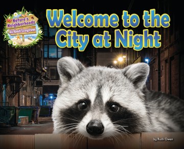 Book jacket for Welcome to the city at night