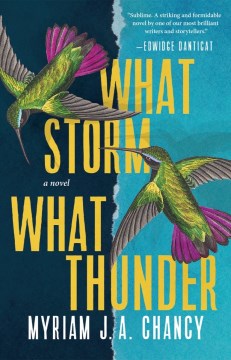 Book jacket for What storm, what thunder