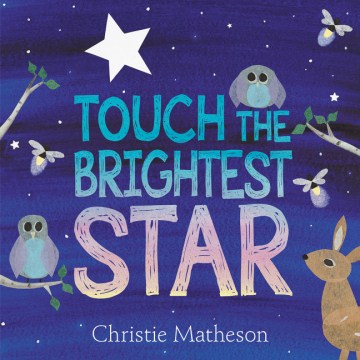 Book Cover: Touch The Brightest Star