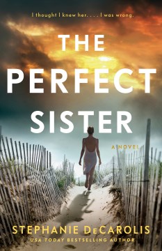 The perfect sister : a novel