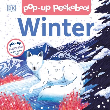 Pop-up Peekaboo! Winter : Pop-up Surprise Under Every Flap!