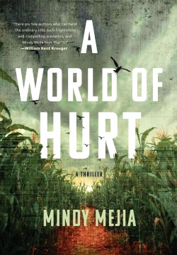 A world of hurt : a novel
