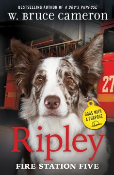 Ripley : fire station five