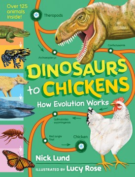 Dinosaurs to Chickens : How Evolution Works