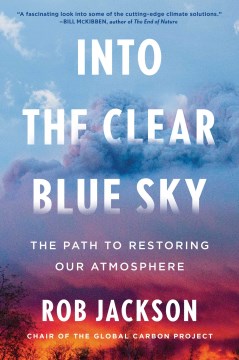 Into the Clear Blue Sky : The Path to Restoring Our Atmosphere