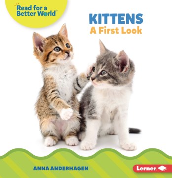 Kittens : A First Look