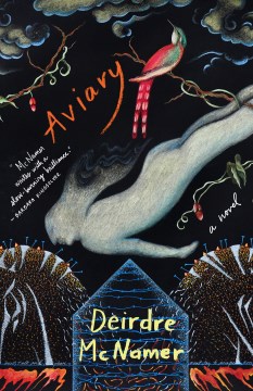 Aviary : a novel / Deirdre McNamer.