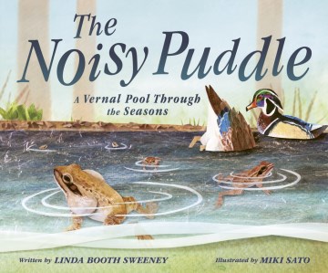 The noisy puddle A vernal pool through the seasons book cover