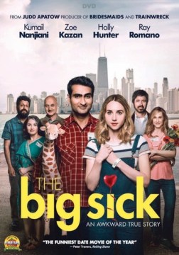 Catalog record for The big sick