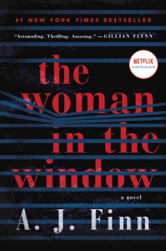 The woman in the window : a novel book cover