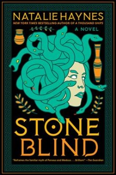 Stone blind : a novel book cover