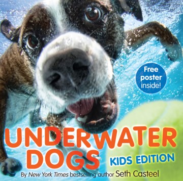Catalog record for Underwater dogs : kids edition
