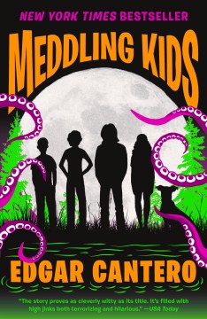 Catalog record for Meddling kids : a novel