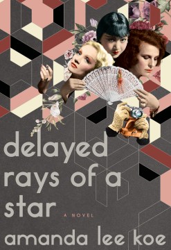 Delayed rays of a star : a novel book cover