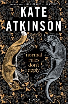 Normal rules don't apply : stories book cover