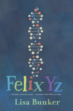 Felix Yz book cover