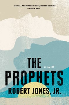 The prophets : a novel book cover