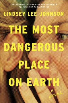 The most dangerous place on earth : a novel book cover