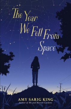 The year we fell from space book cover