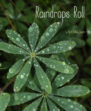 Catalog record for Raindrops roll