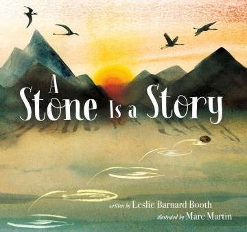 A stone is a story book cover