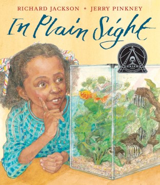 In plain sight book cover